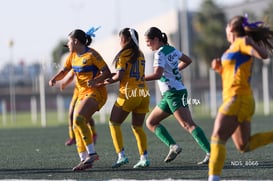 Santos Laguna vs Tigres UANL S19 @tar.mx