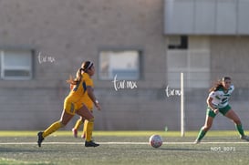 Santos Laguna vs Tigres UANL S19 @tar.mx