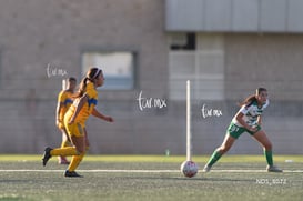 Santos Laguna vs Tigres UANL S19 @tar.mx