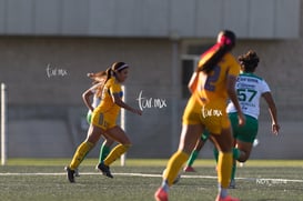 Santos Laguna vs Tigres UANL S19 @tar.mx