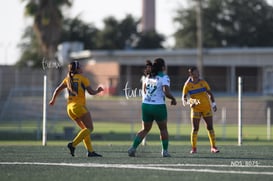 Santos Laguna vs Tigres UANL S19 @tar.mx