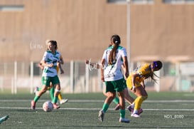 Santos Laguna vs Tigres UANL S19 @tar.mx