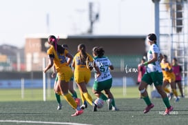 Santos Laguna vs Tigres UANL S19 @tar.mx