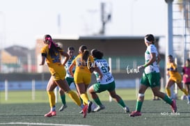 Santos Laguna vs Tigres UANL S19 @tar.mx
