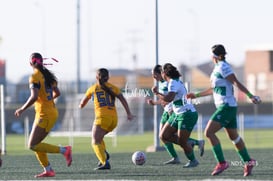 Santos Laguna vs Tigres UANL S19 @tar.mx