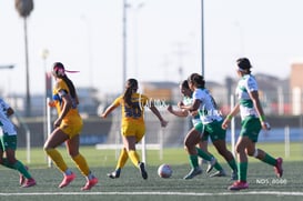 Santos Laguna vs Tigres UANL S19 @tar.mx