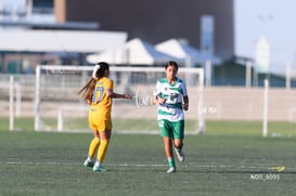 Santos Laguna vs Tigres UANL S19 @tar.mx