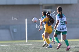 Santos Laguna vs Tigres UANL S19 @tar.mx