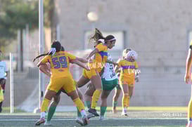 Santos Laguna vs Tigres UANL S19 @tar.mx
