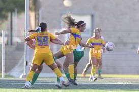 Santos Laguna vs Tigres UANL S19 @tar.mx