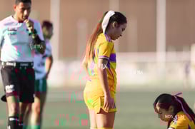 Santos Laguna vs Tigres UANL S19 @tar.mx