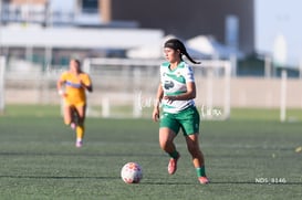 Tania Baca @tar.mx