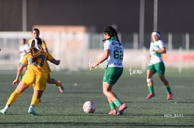 Santos Laguna vs Tigres UANL S19 @tar.mx