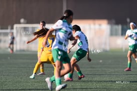 Santos Laguna vs Tigres UANL S19 @tar.mx