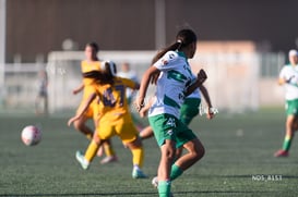 Santos Laguna vs Tigres UANL S19 @tar.mx
