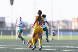 Santos Laguna vs Tigres UANL S19 @tar.mx