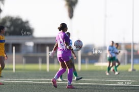 Santos Laguna vs Tigres UANL S19 @tar.mx