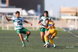 Devanny Carmona @tar.mx