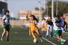 Devanny Carmona @tar.mx