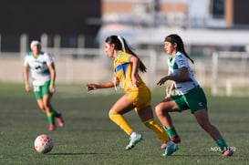 Devanny Carmona @tar.mx