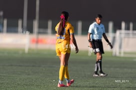 Santos Laguna vs Tigres UANL S19 @tar.mx