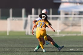 Devanny Carmona @tar.mx