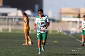 Santos Laguna vs Tigres UANL S19 @tar.mx