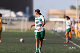 Santos Laguna vs Tigres UANL S19 @tar.mx