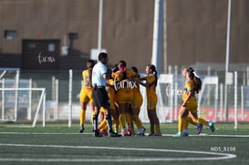 gol @tar.mx