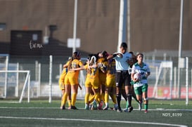 gol @tar.mx