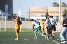 Santos Laguna vs Tigres UANL S19 @tar.mx