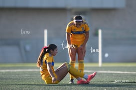 Santos Laguna vs Tigres UANL S19 @tar.mx