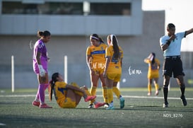 Santos Laguna vs Tigres UANL S19 @tar.mx