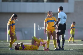 Santos Laguna vs Tigres UANL S19 @tar.mx