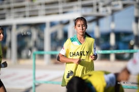 Santos Laguna vs Tigres UANL S19 @tar.mx
