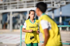 Santos Laguna vs Tigres UANL S19 @tar.mx