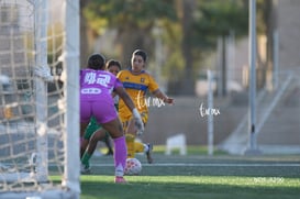 Santos Laguna vs Tigres UANL S19 @tar.mx