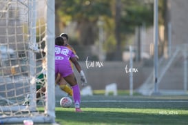 Santos Laguna vs Tigres UANL S19 @tar.mx