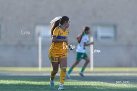 Santos Laguna vs Tigres UANL S19 @tar.mx