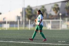 Santos Laguna vs Tigres UANL S19 @tar.mx