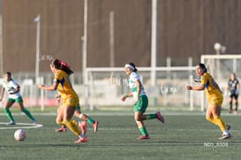 Santos Laguna vs Tigres UANL S19 @tar.mx