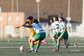 Santos Laguna vs Tigres UANL S19 @tar.mx
