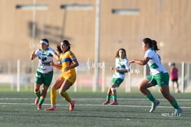 Santos Laguna vs Tigres UANL S19 @tar.mx