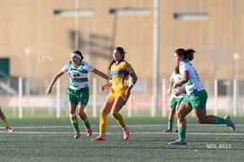 Santos Laguna vs Tigres UANL S19 @tar.mx
