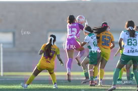 Santos Laguna vs Tigres UANL S19 @tar.mx