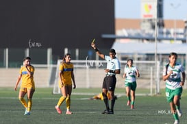 Santos Laguna vs Tigres UANL S19 @tar.mx