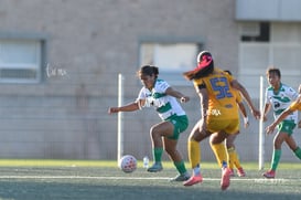 Kimberly Morales @tar.mx