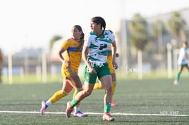 Tania Baca @tar.mx