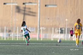 Santos Laguna vs Tigres UANL S19 @tar.mx