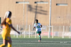 Santos Laguna vs Tigres UANL S19 @tar.mx